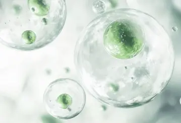 Imagem do Ingrediente