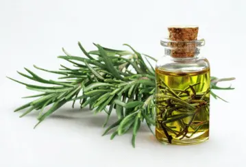 Imagem do Ingrediente