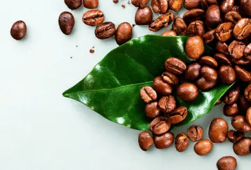 Imagem do Ingrediente